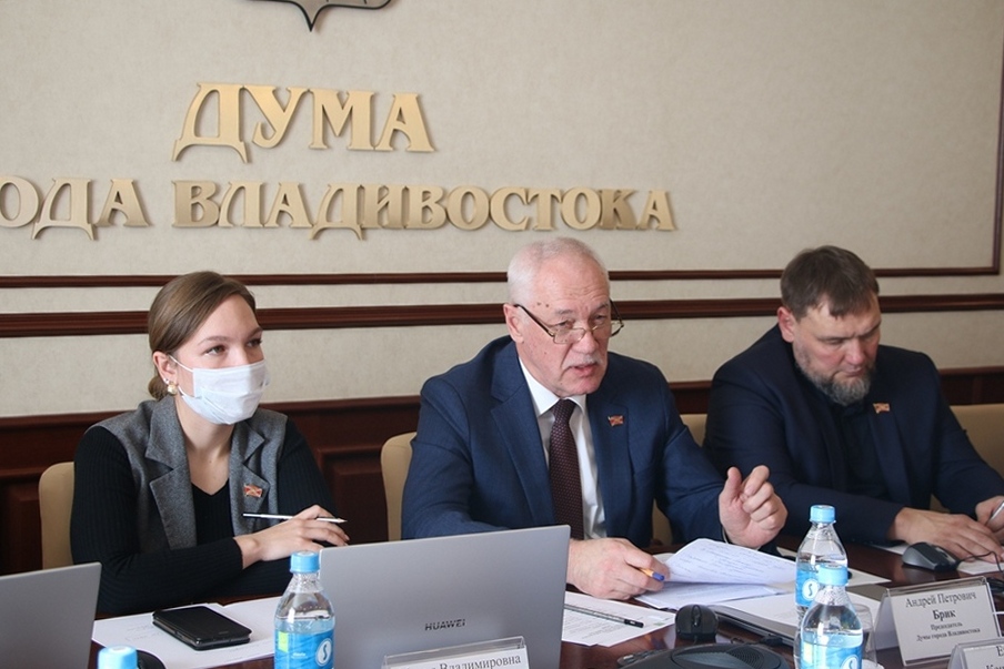 Депутаты Думы обсудили план мероприятий Молодежной столицы России-2024