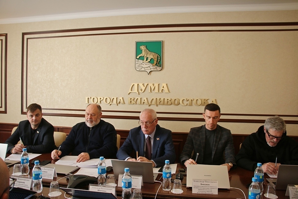 Комитет поддержал установление границ 10 ТОС