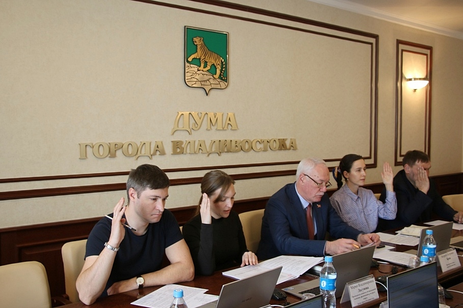 Комитет Думы рассмотрел план мероприятий по охране окружающей среды и информацию о поддержке молодежи города