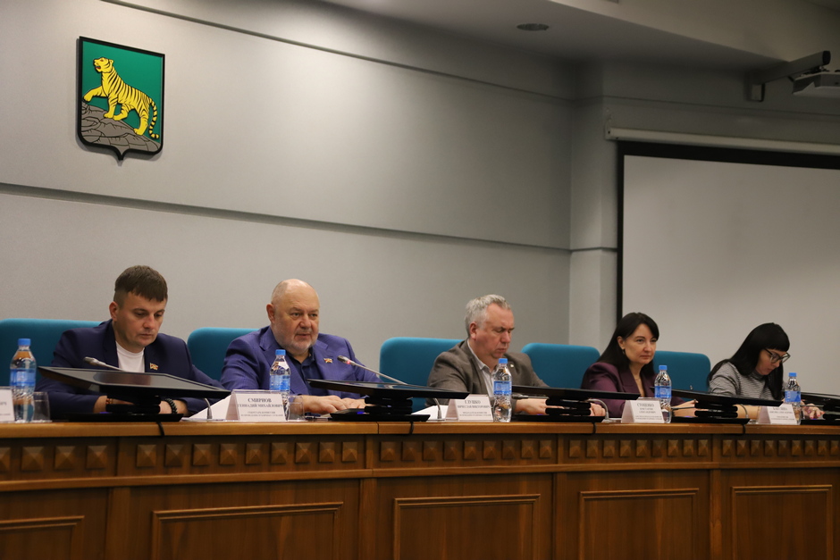 Состоялись публичные слушания по внесению изменений в Устав города Владивостока