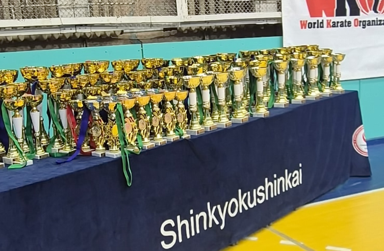 Депутат Алеся Корсак поздравила победителей соревнований по боевым искусствам