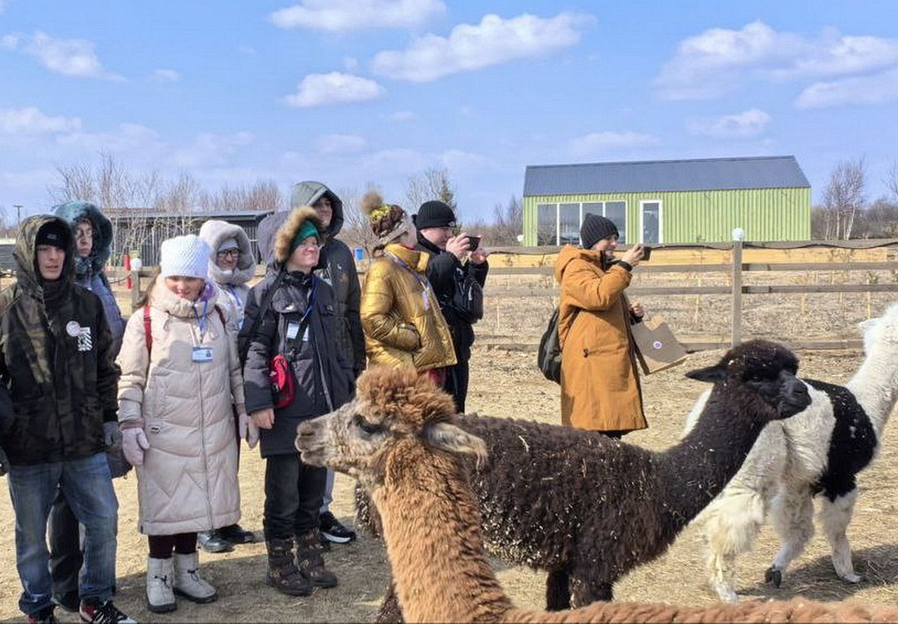 Депутат Алексей Ткачев организовал поездку детей с ограниченными возможностями здоровья в парк «Приморские альпаки»