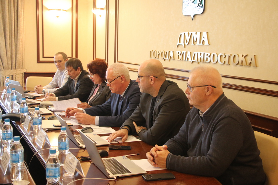 Депутаты рассмотрели проекты правовых актов по вопросам приватизации